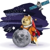 Doge-1 Launch:  интересное путешествие со Space-X и Илоном Маском