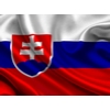 Работа в Словакии по биометрии,  польской визе и на ВНЖ.  Без предопла